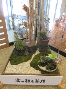 51102473_963784257343207_8634996117559312384_n