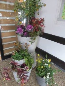 51199769_405564996917305_2441665311225675776_n