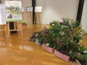 51240374_239687476932440_209398411802181632_n