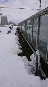 51351567_827241597625656_3392546048080609280_n