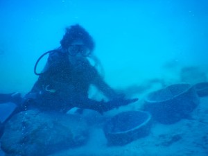 51086968_2071729406238448_5612204465416306688_n