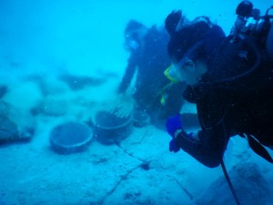 51191852_2071706026240786_8758974488906825728_n