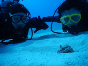 51199758_2071705622907493_8585905251251388416_n