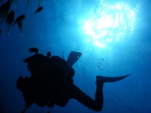 51234296_315965352669086_3185803386356236288_n