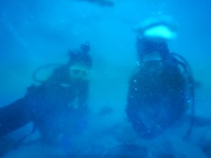 51234347_2071706129574109_3204799163418017792_n