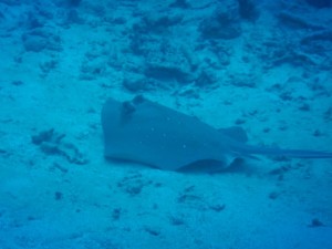 51289057_2071705462907509_5384103442430033920_n