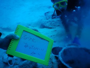 51319412_2071706089574113_8298692601960202240_n