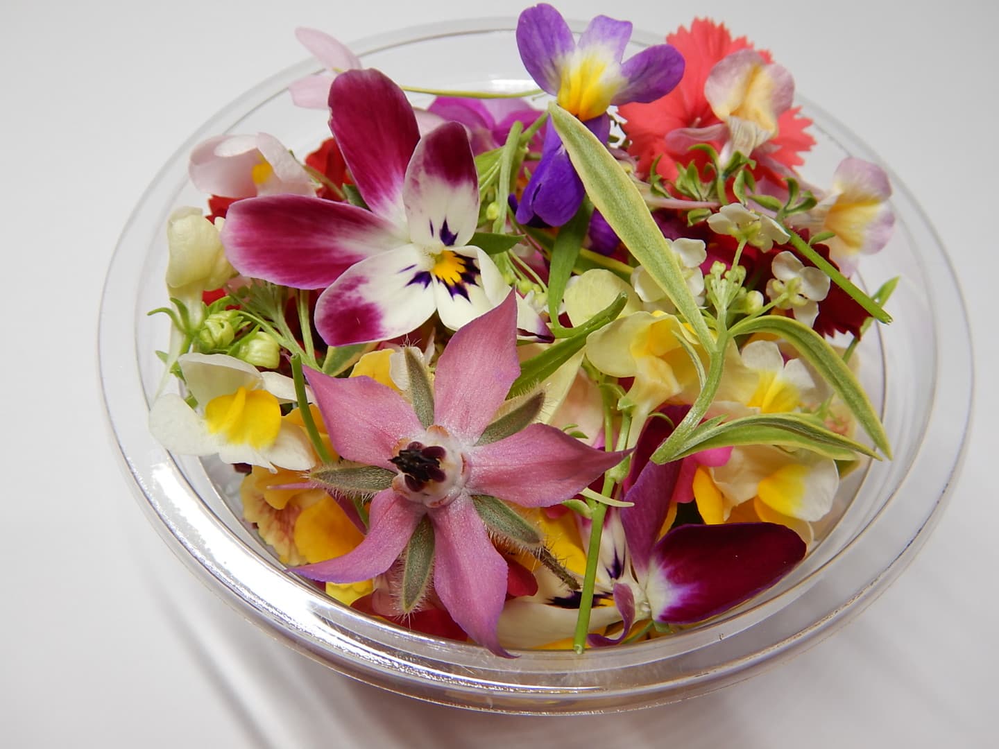 美食花の半分パック