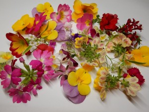 51378270_294922141222673_279648327119667200_n