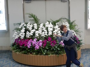 51432688_2314959618750370_1661202812182200320_n