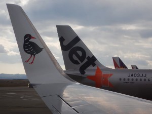 51493033_540957126389711_8220125607028064256_n