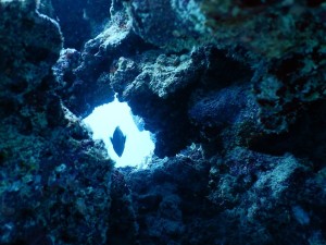 51538356_2585367224812286_6047807891186909184_n