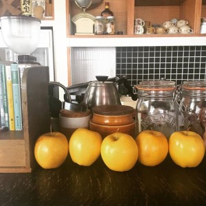 51541728_2139973896315067_8153609263831318528_n