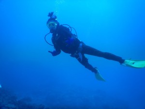 51559140_410865709659785_4348826855906738176_n