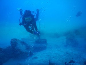 51615153_2216443152017247_5370688215160193024_n