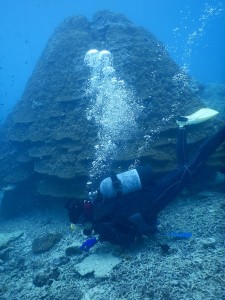 51643498_2266774936917688_7297403131032240128_n