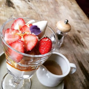 51662565_2141878566124600_3986214470891339776_n