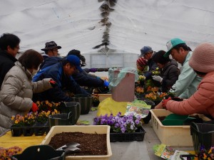 51691385_383366152492772_3854720138704060416_n