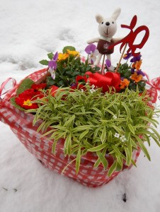 51697077_384314225713600_7967259596454625280_n