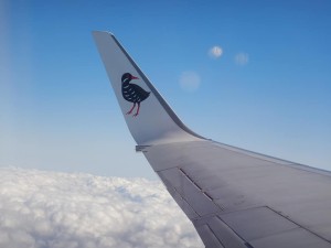 51703078_2071705359574186_8450956111795716096_n