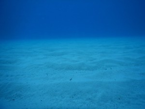 51708377_1858050197634773_1846172562401263616_n