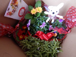 51734042_308627013343191_5624295575743627264_n