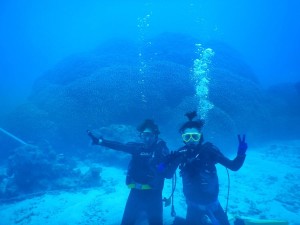 51768532_329744267639320_3397068584218787840_n