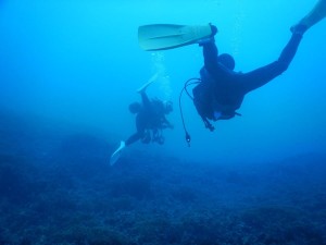 51868841_2071608259797785_7766488494049853440_n