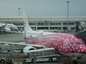 51887636_532259200597783_9014863778499526656_n