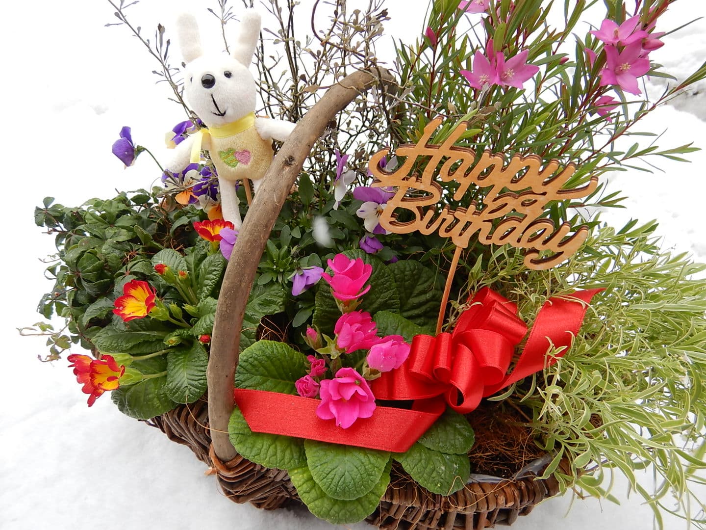 フラワーバレンタインデー☆！？