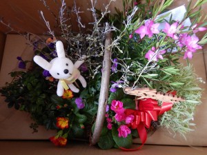 51934311_905027939828238_2818847337705635840_n