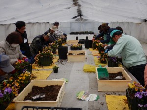 51966248_2260713797293361_5996631362990243840_n