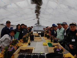 51978486_2208724866122479_7579392039234568192_n