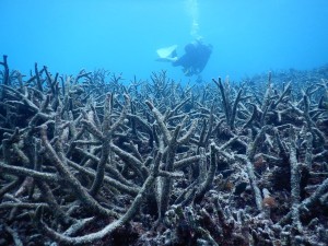 52082296_144523179824108_4744376086689742848_n