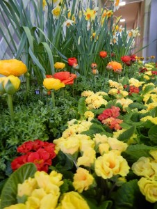 52354578_2553682148037285_7657770094260387840_n