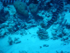 52358915_609777369465709_4687009136230006784_n