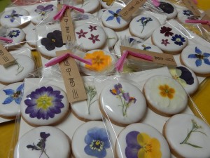 52360304_2365509553683188_1547397938458656768_n