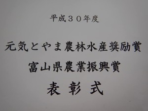 52555078_2088421831235872_6102347078128631808_n