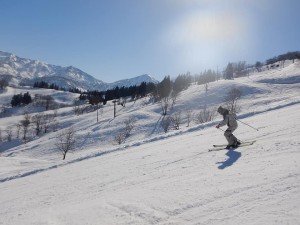 52594413_2101136229964432_723561110153723904_n