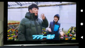 52630269_394806764684673_8503882804805763072_n