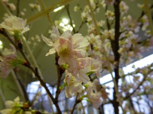 52684444_748314245540163_7656993959310262272_n