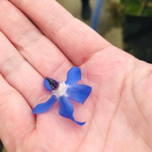 52770531_1225939710893889_8148564665828376576_n