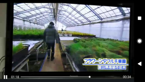 52782426_382331385651421_3093807935654985728_n