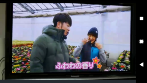 52891172_630969624027227_5735914560221609984_n