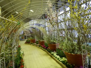 52976974_2246101098985907_6054935578393182208_n