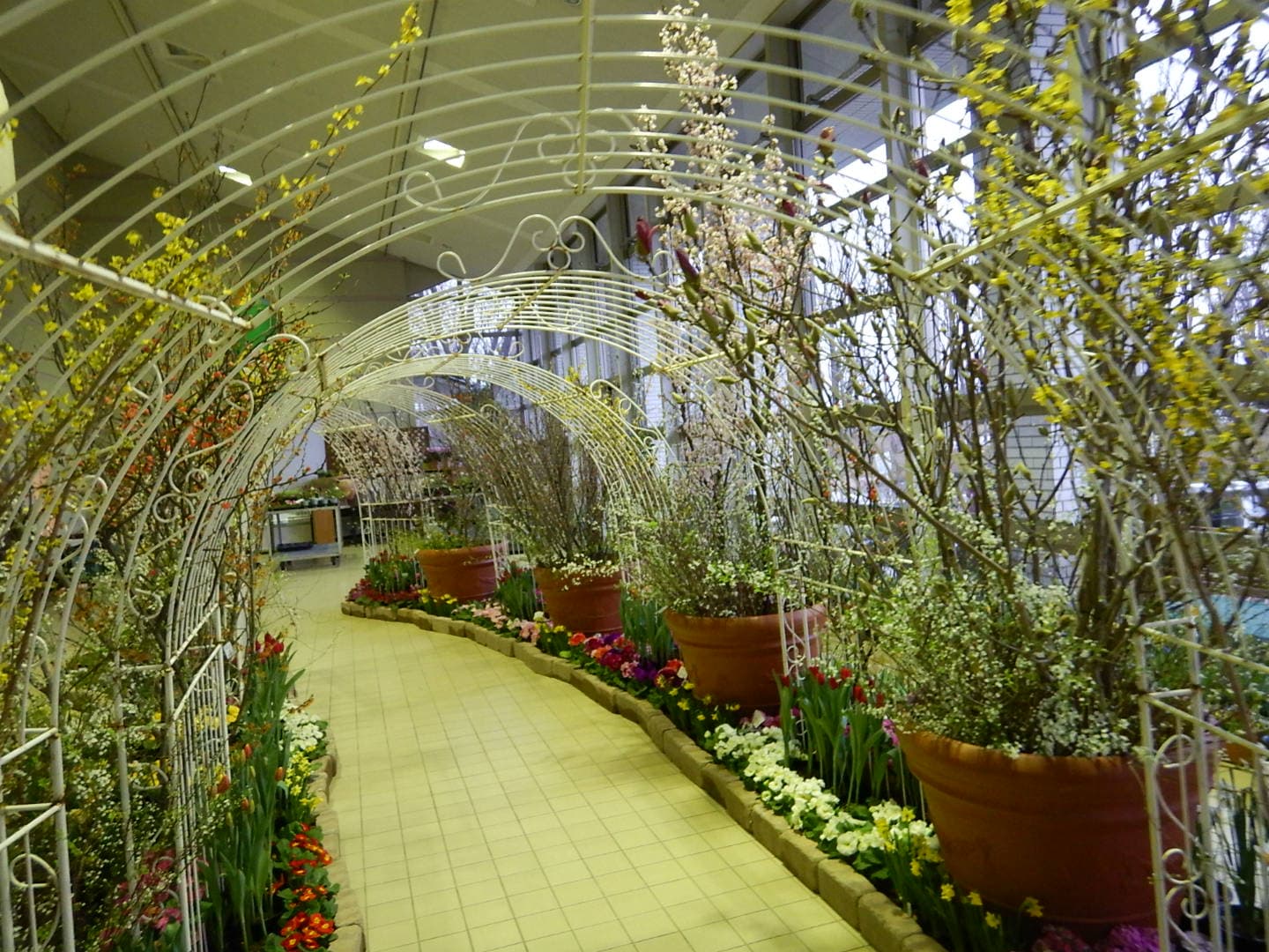 エレガガーデン早春の花まつり