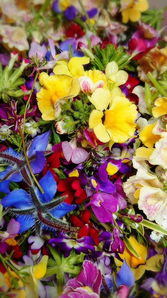 エディブルフラワーで目覚める日曜の朝