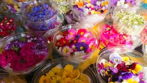 53086163_344422666187328_3478067363864117248_n