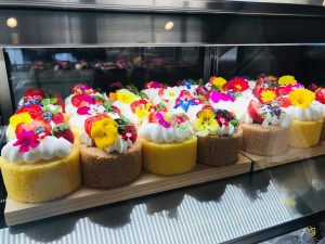 53204976_382458325667542_888841970078711808_n