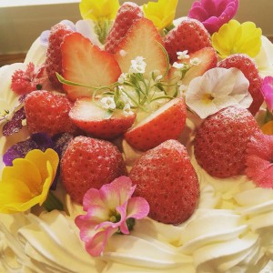 53336815_619099201868011_813134688926302208_n